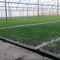 شرکت گلخانه سازان ژیانا آوین آژین زاگرس