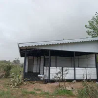 حلب زنی|خدمات پیشه و مهارت|لاهیجان, قیام|دیوار