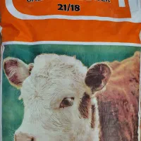 جایگزین شیر گوساله