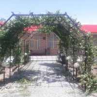 فروش مرغداری تخم گذار باسند تک برگ وپایانکار