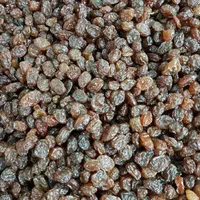 کشمش آفتابی مویز شیراز شیره خرما انگور شانی سنندج|خوردنی و آشامیدنی|تهران, شهرک شریعتی|دیوار