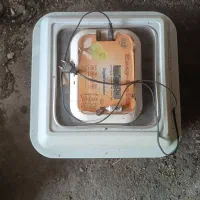 دستگاه جوجه کشی