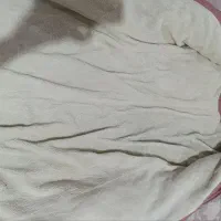 کاپشن|لباس|دورود, |دیوار