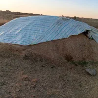 کاه