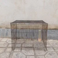 قفس پرنده|بدلیجات|گرگان, |دیوار