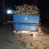 خرید انواع چوب وهرس کاری|خدمات باغبانی و درختکاری|مشهد, رسالت|دیوار