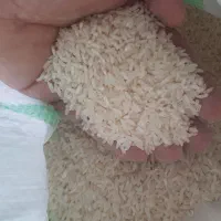 برنج هاشمی آستانه و طارم خوشپخت