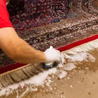 کارخانه و قالیشویی ستاره‌ قمی ها