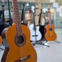 گیتار پارسی در همه مدل|گیتار، بیس، امپلیفایر|مشهد, الهیه|دیوار