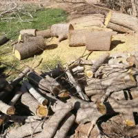 خرید فروش  انواع چوب