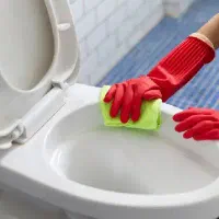 نظافت و انجام امور منزل