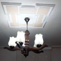 لوسترپنج شاخه