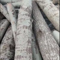 الوار چوب سفید