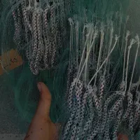 شکار بالا|ماهیگیری|خرم‌آباد, |دیوار