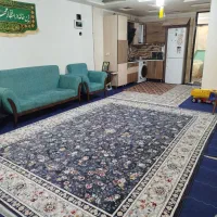واحد-لاله-در-کیانشهر
