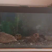 آکواریوم بزرگ