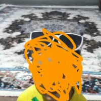 ۴عدد فرش ۶متری به فروش میرسد انواع وسیله خونه هست