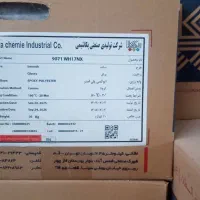 رنگ پودری