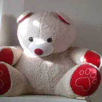 خرس شاسخین