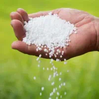 کود پاشی رامشیر