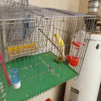 چند تیکه وسایل خانه