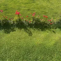 سرایدار جهت ویلا