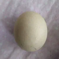 سنگ آسیاب قدیمی