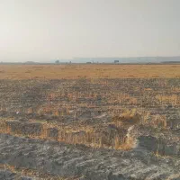 فروش-زمین-طرح-هادی-سیخ-سیاخ-دارنگون-شیب-جدول