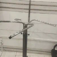 رگال و قفسه