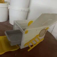 حراج لونه عروس هلندی و گرینچیک