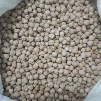 نخود سفید دارم