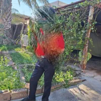 فروش منزل ویلایی