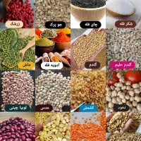 کالابرگی رایگان خرید کن  (( تخفیفی  ببر ))