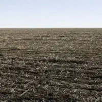 408متری-مزروعی-بیرجند