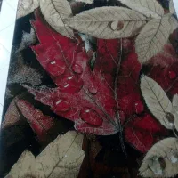 یک جفت فرش ۶ متری ۳ بعدی