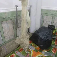 ۱عددسلیه.۳عددقضل