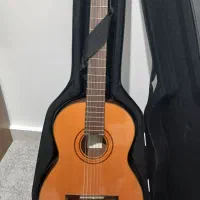 گیتار ak80