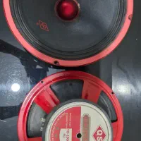 میدرنج ۱۰ اینچ نونو