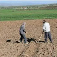 کارگرباغبانی باغ بیل زنی باغچه وعلف زنی شخم زنی|خدمات باغبانی و درختکاری|ارومیه, |دیوار