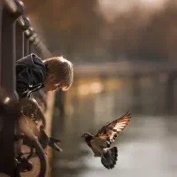 راهنمایی و همفکری