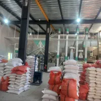 کارگر برای کارخانه برنجکوبی