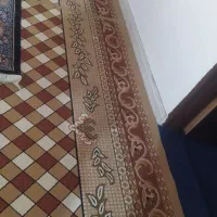 گلیم|گلیم، جاجیم، گبه|قوچان, |دیوار