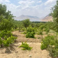 فروش باغ ۲۰۰۰ متری با ویو تالاب چغاخور