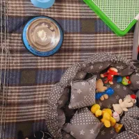 توله شیتزو با همه وسایل