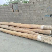 فروش چوب  هزار قطر بالا و سنگین کیلوی