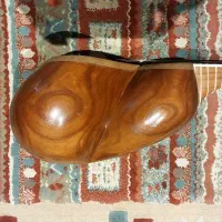 تار چهار گل سعید علیاری