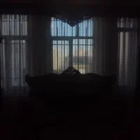 پرده زر دار توری|پرده، رانر، رومیزی|اردبیل, |دیوار