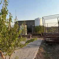 باغ بادام|فروش زمین و ملک کلنگی|زرندیه, |دیوار