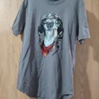 تیشرت|لباس|رشت, خمیران زاهدان|دیوار