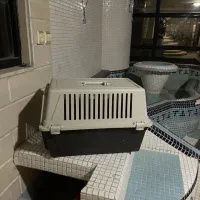 باکس سگ و گربه|لوازم جانبی حیوانات|کرج, فاز ۲ مهرشهر|دیوار